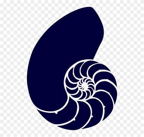 Shell Sea Blue Spiral Navy Dark Animal Fossil Nautilus Shell Clipart