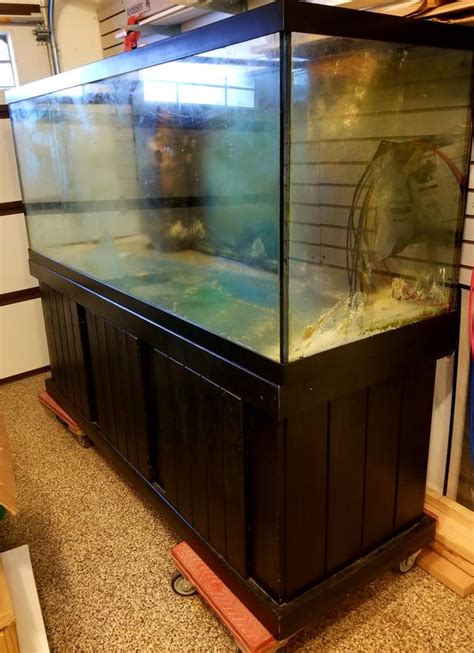 Saltwater Reef 210 Gallon Aquarium For Sale In Wheaton Il Offerup