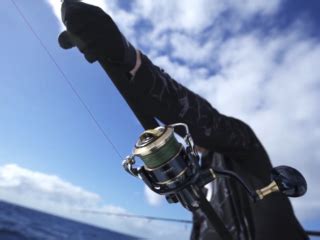 Daiwa Tatula Lt Spinning Reel Review Salted Angler