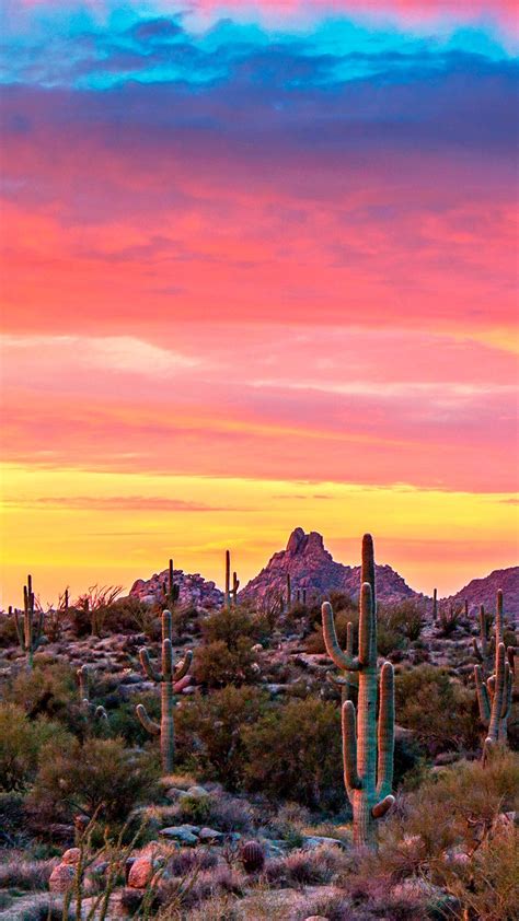 Vibrant Arizona Desert Sunrise In Scottsdale Az Desert Sunrise