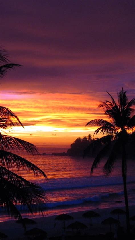 Sunset Beach Palm Tree Sunset Amazing Sunsets Beautiful Sunset