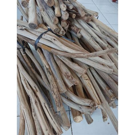 Jual Teak Wood 100 Cm Dahan Macrame Kayu Jati Asli Shopee Indonesia