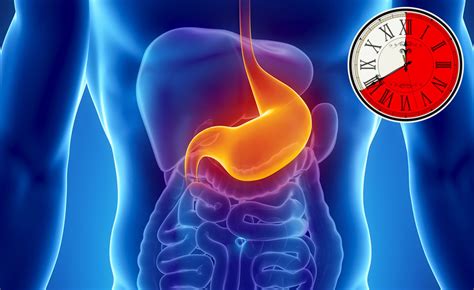 How Long Different Foods Take To Digest And Why Its Important