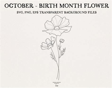 October Birth Month Flower October Cosmos Flower Birth Etsy Birth