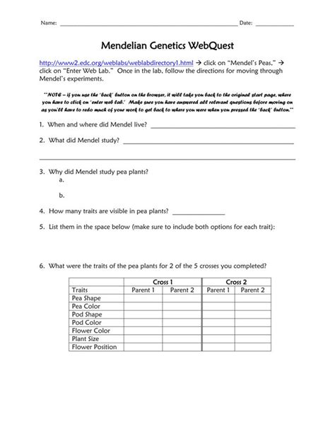 The first recorded scientific study of genetics was done by. Mendelian Genetics Worksheet Answer Key in 2020 | Word ...