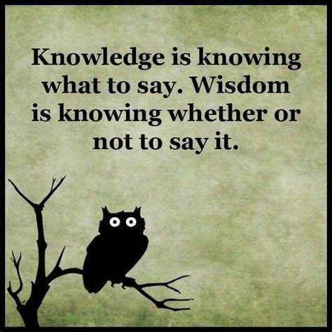 An Owl Sitting On Top Of A Tree Branch With A Quote Below It That Reads