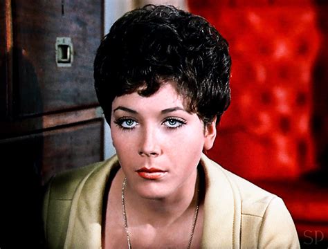 Linda Thorson In The Avengers As Tara King Tara King Avengers