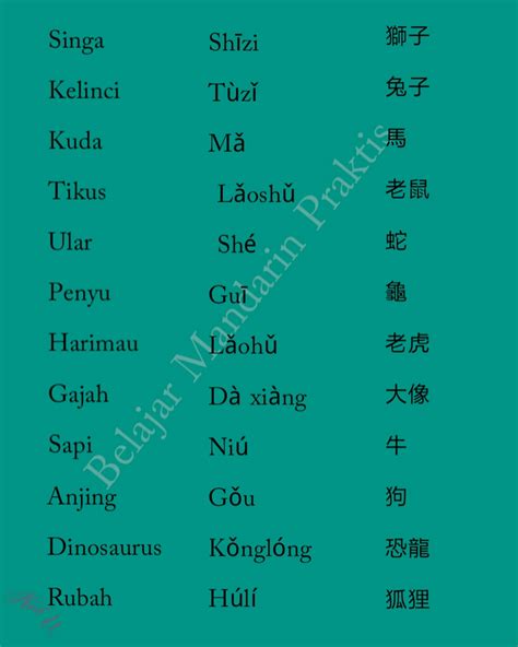 Nama Hewan Belajar Mandarin