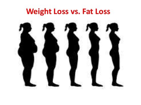 weight loss vs fat loss choosing the best fat loss program focus on…