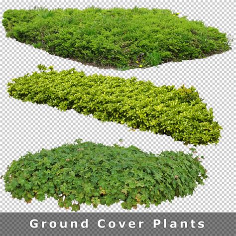 Cutout Plants V04 Graphics For Landscape Architecture