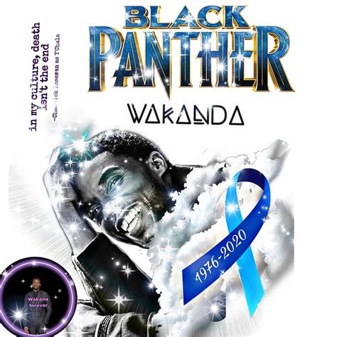1920x1080px 1080p Free Download Black Panther Sad Sadness Hd