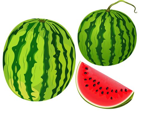 One In A Melon Png Free Logo Image