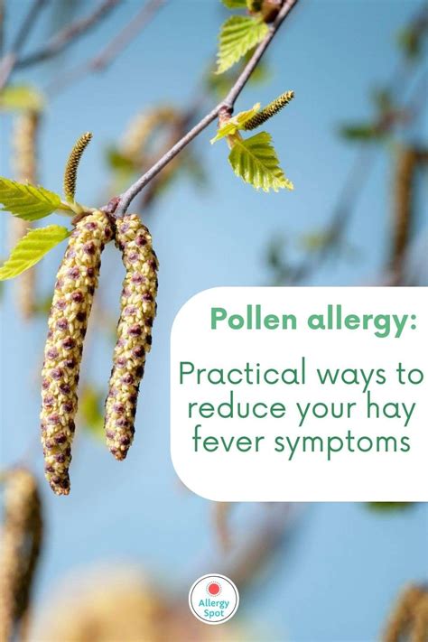 Pollen Allergy Practical Ways To Reduce Your Hay Fever Symptoms
