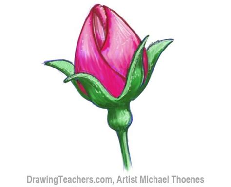 How To Draw A Rosebud Rose Drawing Tattoo Roses Drawing Flower