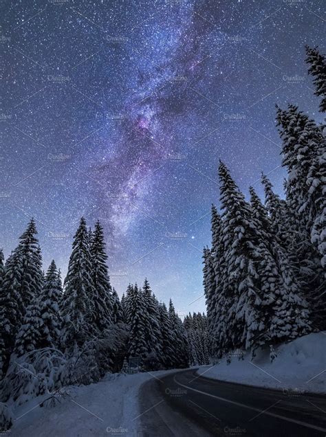 Winter Forest At Night High Quality Nature Stock Photos ~ Creative Market