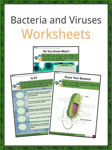 Bacteria And Viruses Facts Worksheets And Basic Information For Kids