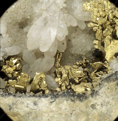 Gold Crystals Stock Image C Science Photo Library