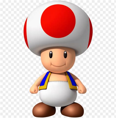 Free Download Hd Png Image Result For Toad Mushroom Character In