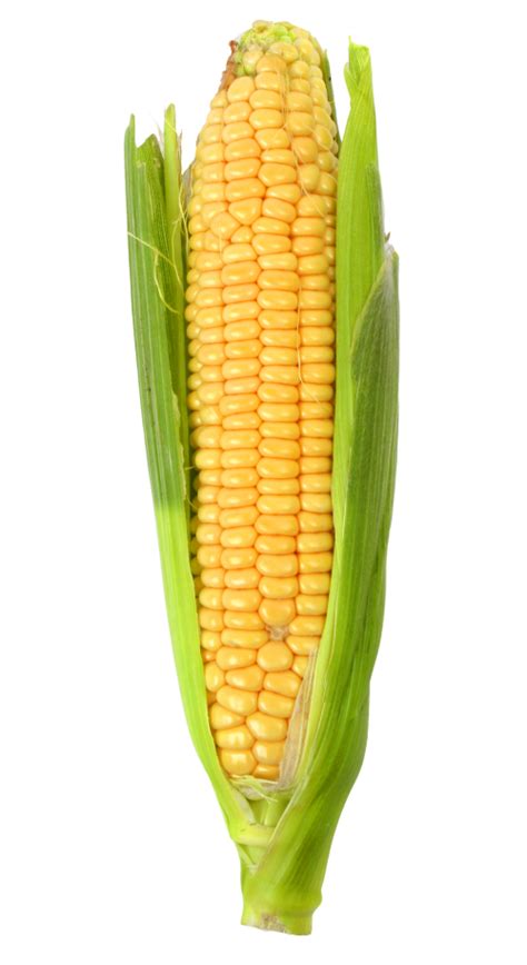 Corn Yellow Png Corn Clipart Images Free Download Free Transparent