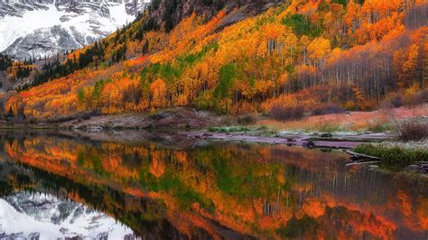 2560x1440 Fall Foliage Forest Lake Nature Reflection 1440p Resolution