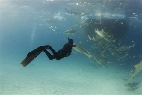 Differences Between Freediving Skindiving And Snorkeling Scuba