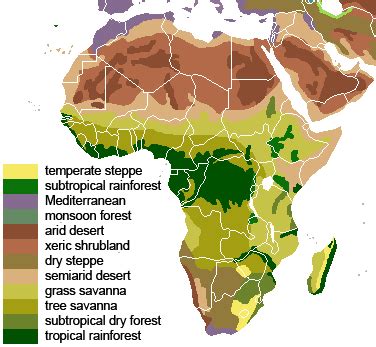 Map of africa, with africa's vegetation, climate, population and boundary maps plus a wealth of the vegetation in africa very much depends on the climate and rainfall patterns, more specifically. Vegetation or Biomes of Africa. | Africa map, Biomes, Savanna