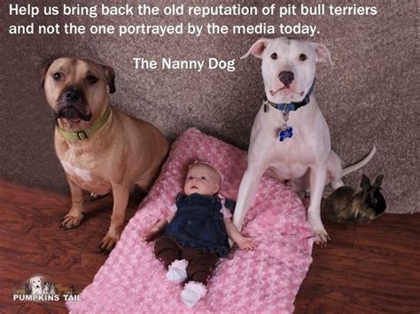 The Nanny Dog Pit Bulls Are Great Pinterest