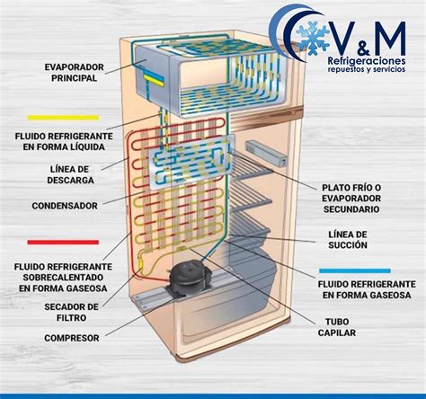 Get Partes De Un Refrigerador Vertical Background Vitrina Expositora