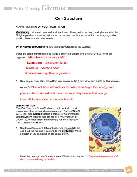 Maybe you would like to learn more about one of these? Student Exploration: Cell Structure Asnwer Key - Gizmo ...