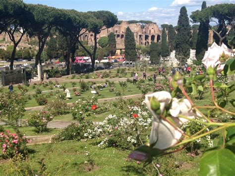 Il Roseto Comunale Di Roma Un Giardino Antichissimo
