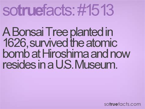 Sotruefacts Fact Number 1513 Fun Facts Fun Facts Mind Blown Wtf Fun