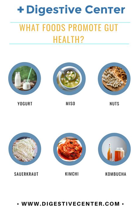 What Foods Promote Gut Health In 2020 Gut Health Recipes Health