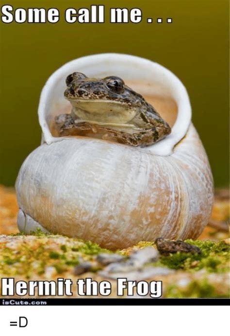 Cute Frog Meme Aesthetic Caption