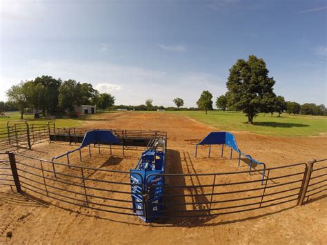 Roping Boxes Covered Riding Arena Riding Arenas Cattle Corrals