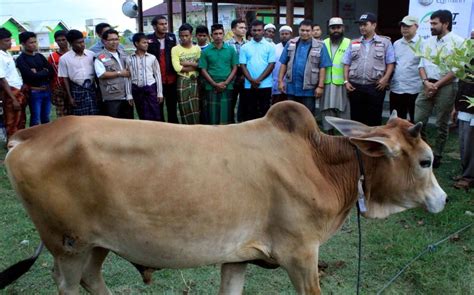 We did not find results for: Melaksanakan Ibadah Qurban Untuk Mereka Yang Telah Tiada ...