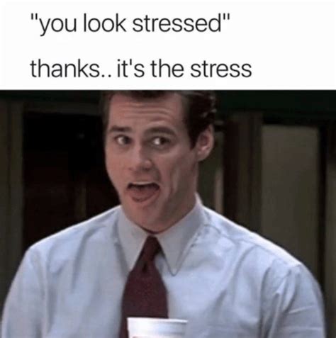 Stressed Meme Template