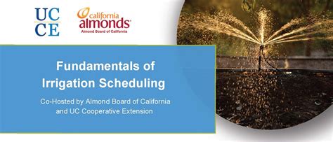 Fundamentals Of Irrigation Scheduling Pacific Nut Producer Magazine