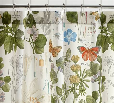 Poppy Botanical Print Shower Curtain Pottery Barn