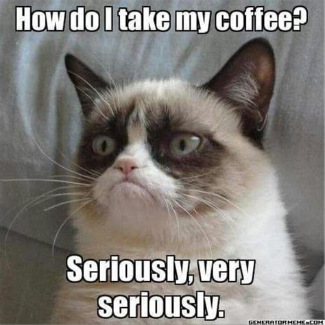 Serious Coffee Funny Grumpy Cat Memes Grumpy Cat Meme Grumpy Cat Humor