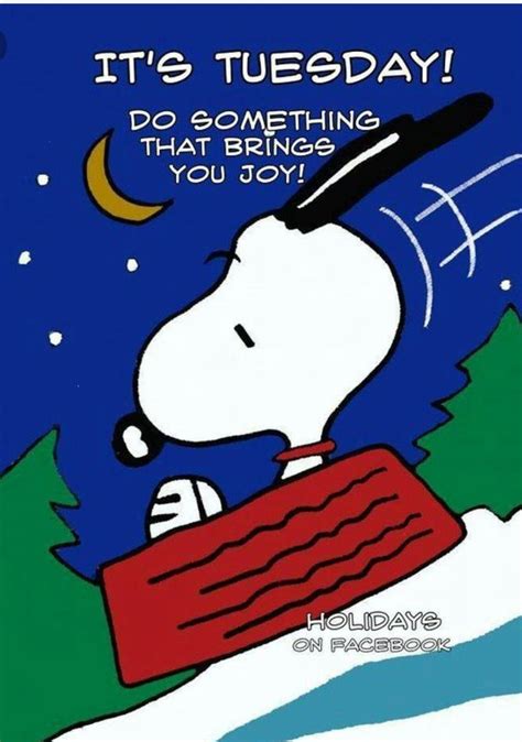 Pin By Merrilee Desatoff On Tuesday Fun Snoopy Quotes Snoopy Snoopy