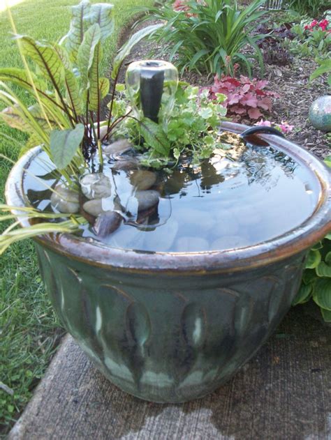 76 Best Container Ponds And Ponds In A Pot Images On Pinterest