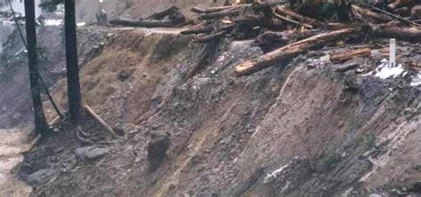 Frequency Size Of Forest Landslides Linked To Roads Logging Mirage News
