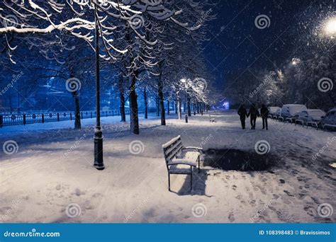 Night Winter Landscape In The Alley With Bench Of City Park Stock Image