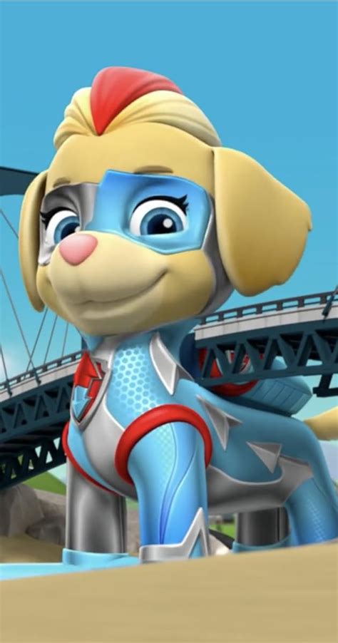 Paw Patrol Mighty Pups Super Paws Pups Meet The Mighty Twins 2019