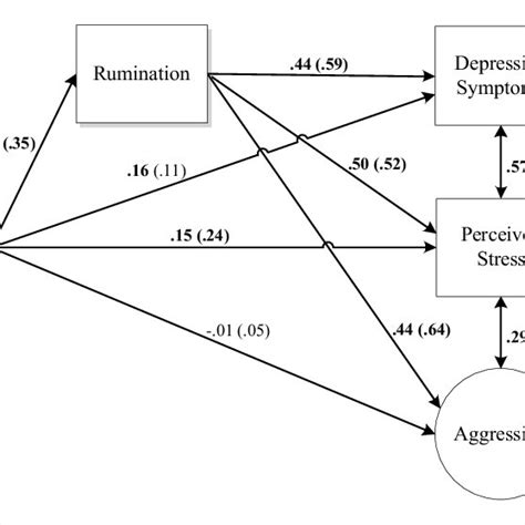 Mediational Model With Rumination Mediating The Associations Between