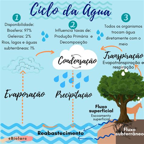 Ciclo Da Água Ciclo Da água Ciclo Hidrológico Modelos Infográficos
