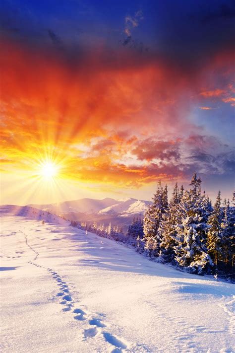 Free Download Beautiful Winter Sunset Wallpaper Iphone Wallpapers 640x960 For Your Desktop