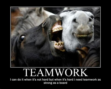 Maybe you would like to learn more about one of these? Funny Teamwork Quotes. QuotesGram