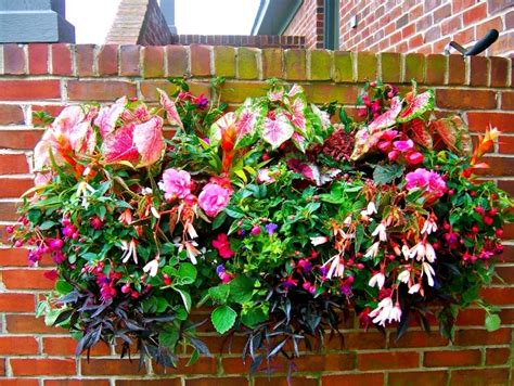 17 Best Images About Hanging Baskets And Shade Planters On Pinterest