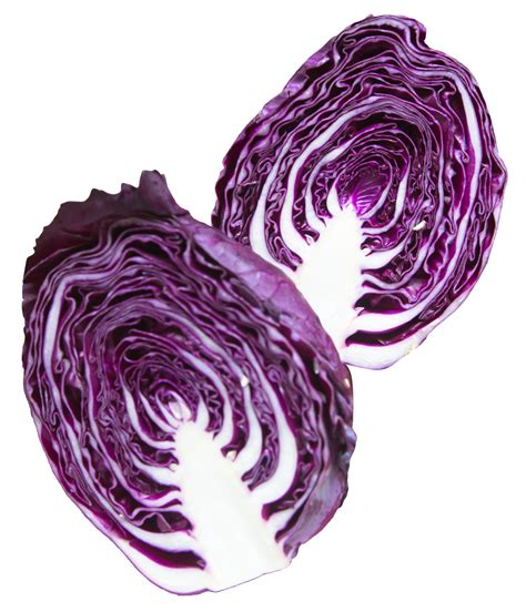 Napa Cabbage Purple Png Image Purepng Free Transparent Cc0 Png